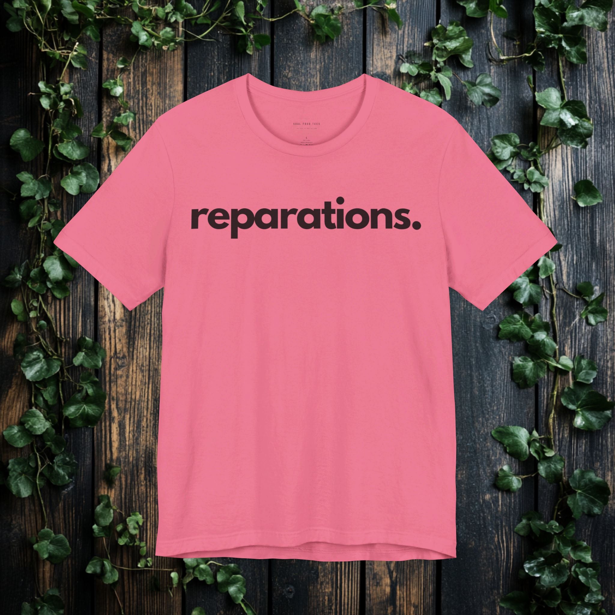 Reparations T Shirt